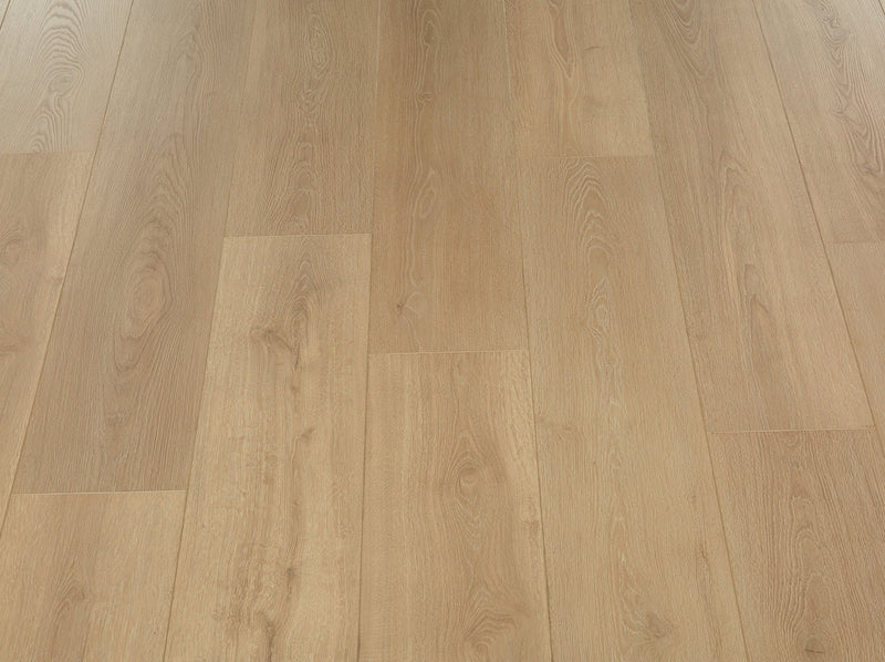 Compass Oak Verse Pallas Evergreen Hardwood Floors INC