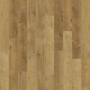 Courtier Clyde Oak