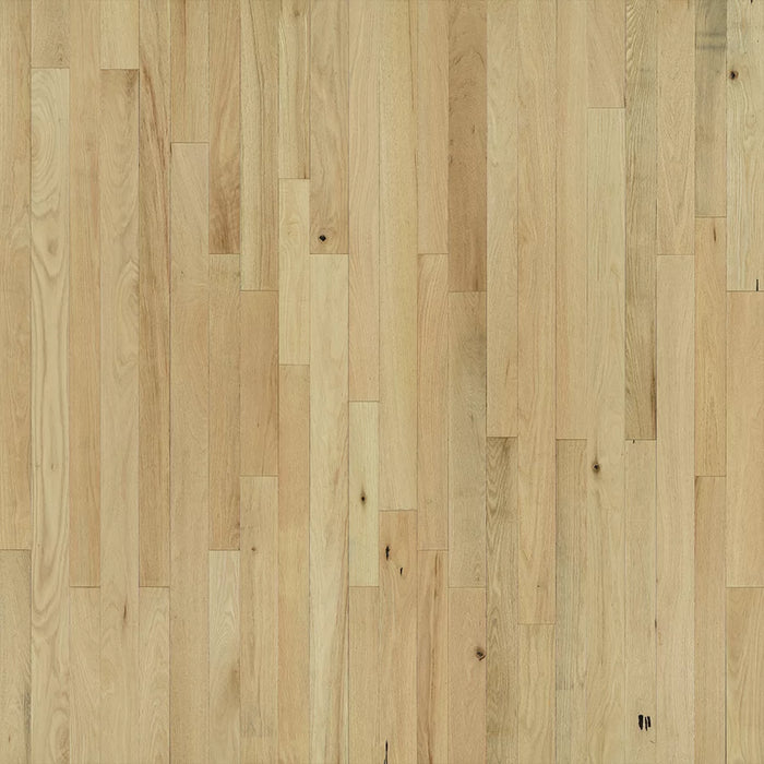 Organic Solid Puppy Seed Red Oak