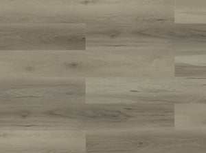 Paradigm Performer Plus Swan