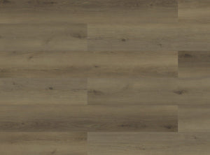 Paradigm Performer Plus Owl