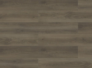 Paradigm Performer Plus Lark