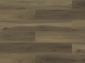 Paradigm Performer Plus Swift