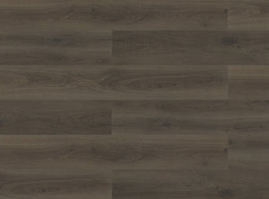 Paradigm Performer Plus Oriole