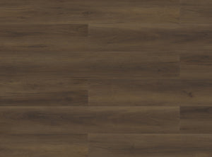 Paradigm Performer Plus Eagle