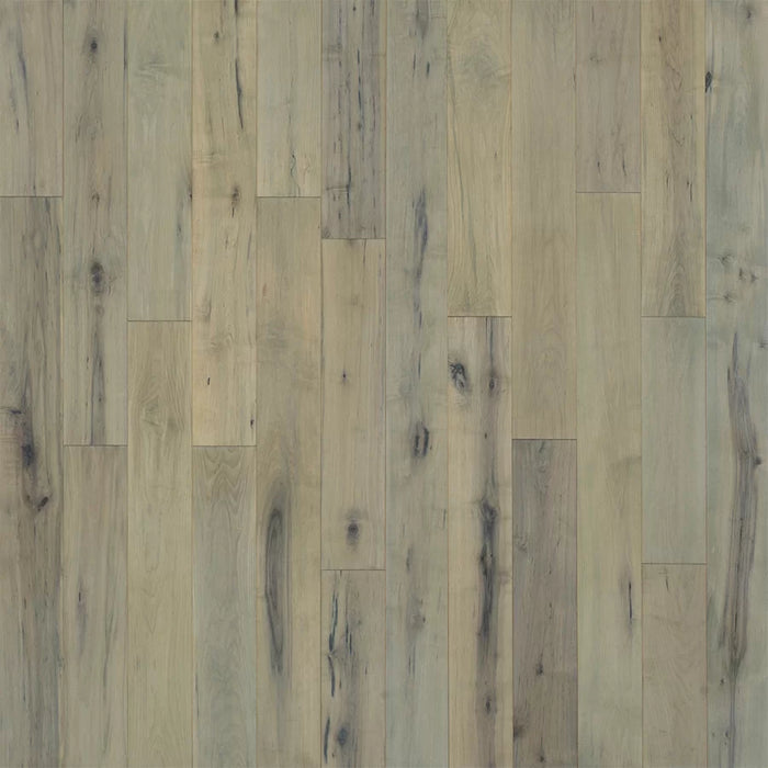 Novella Alcott Maple