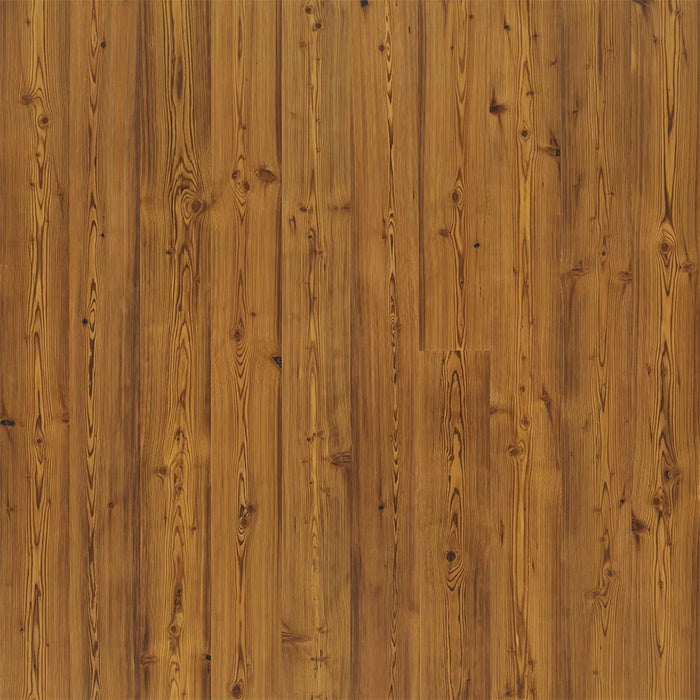 True Amber Pine
