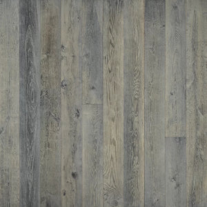 True Silver Needle Oak