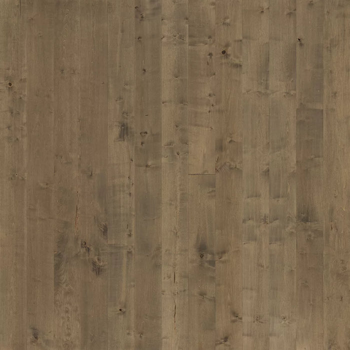 Regatta Compass Maple