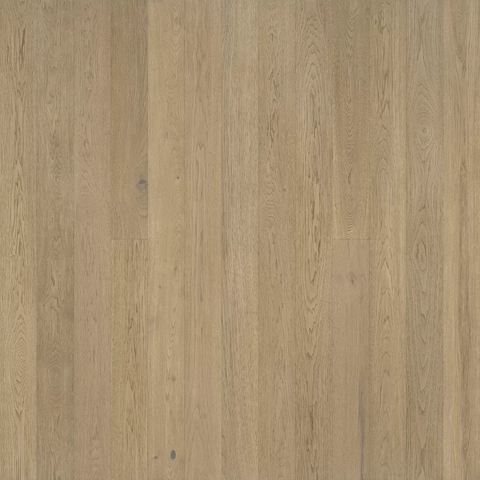 Regatta Starboard Hickory