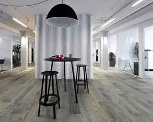 True Silver Needle Oak