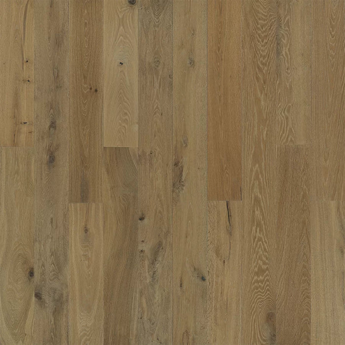 Ventura Dune Oak